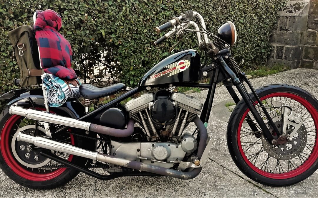 Chopper rigide 883 – 1993